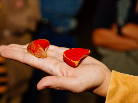 Taipei's Origin & Longshan Temple Walking Tour