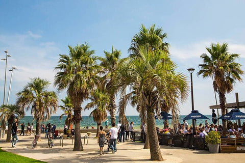 Melbourne City & Suburbs Sightseeing Tour