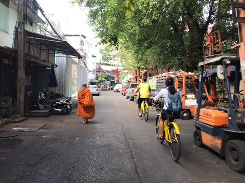 CO CLASSICAL - 3-hour bicycle tour