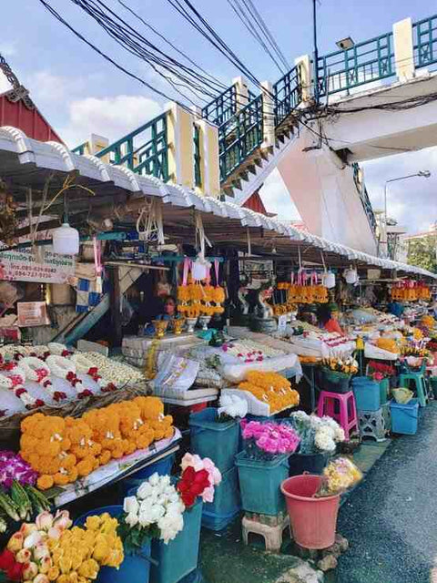 Co Combo - 4-hour Chiang Mai Bicycle tour