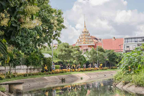 Co Classical - 3-hour Chiang Mai Bicycle Tour