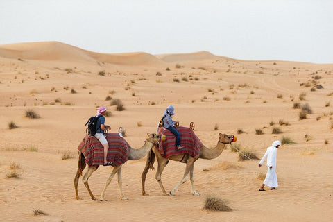 Dubai: Desert Safari with BBQ Dinner & Quad Biking Options