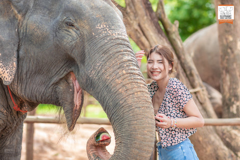 Elephant Jungle Sanctuary - Half Day Experience (Pattaya - transport from Bangkok not included)