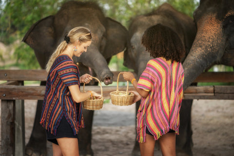 Elephant Jungle Sanctuary - Half Day Experience