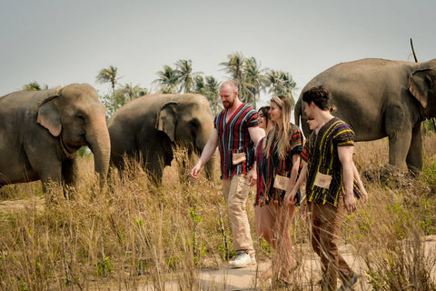 Elephant Jungle Sanctuary - Half Day Experience