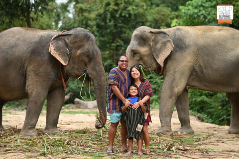 Elephant Jungle Sanctuary - Half Day Experience