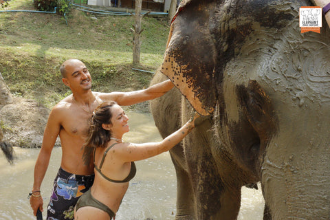 Elephant Jungle Sanctuary - Half Day Experience