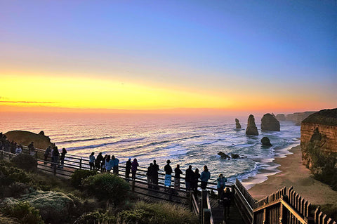 Great Ocean Road Wildlife & Sunset Tour