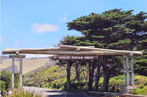 Great Ocean Road Wildlife & Sunset Tour