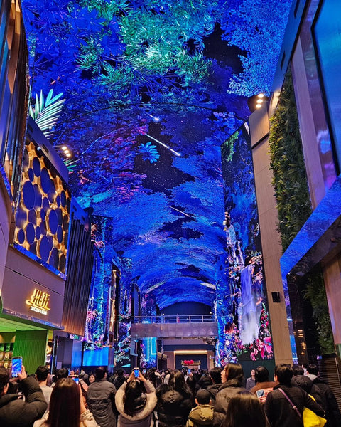Explore Incheon's Best 5