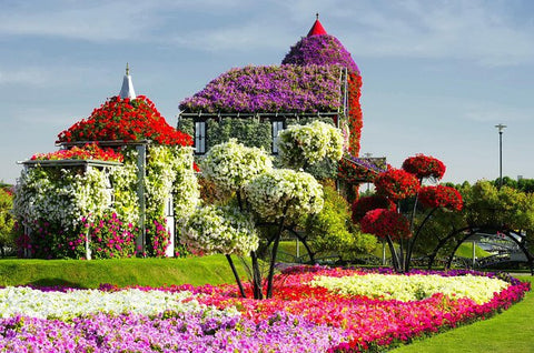 Miracle Garden and Global Village Tour