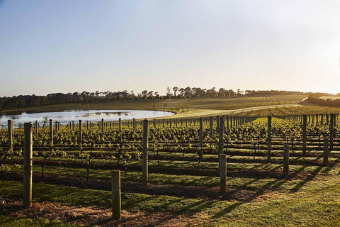 Mornington Peninsula Food & Wine Taste Trail