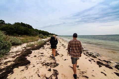 French & Phillip Island Wildlife Expedition