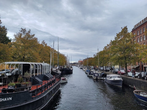 Classical Tour of Copenhagen Walking Tour