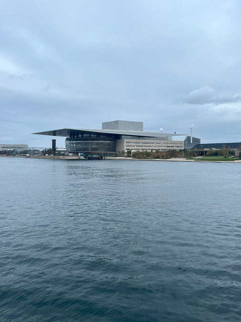 Copenhagen 3 Hour Guided E-Bike Food Tour