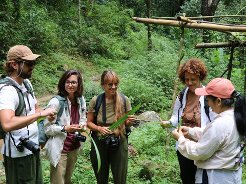 Hidden Jungle Trek In Mae Kampong - 7 hours