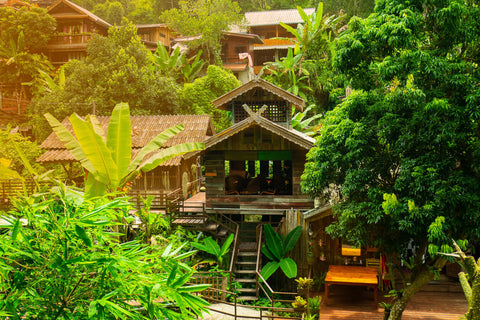 Hidden Jungle Trek In Mae Kampong - 7 hours