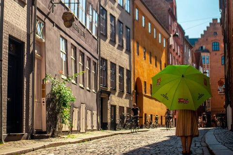 Grand Tour of Copenhagen Walking Tour