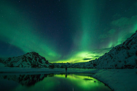 Northern Light Bus Tour