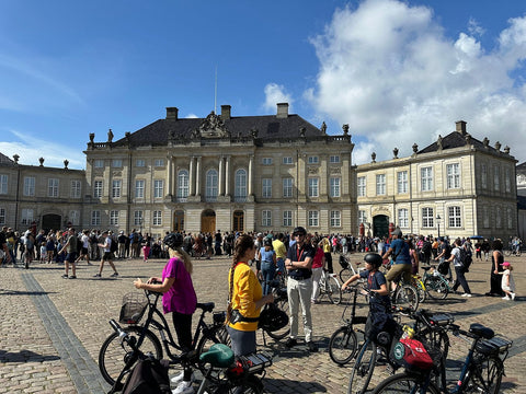 Copenhagen 3 Hour Guided E-Bike Food Tour