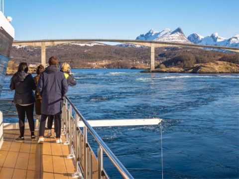 Bodø - Arctic Light Cruise