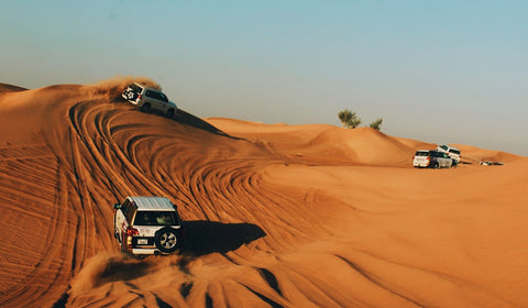 Dubai: Desert Safari with BBQ Dinner & Quad Biking Options