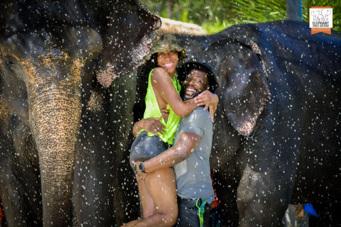 Elephant Jungle Sanctuary - Feed & Shower Experience