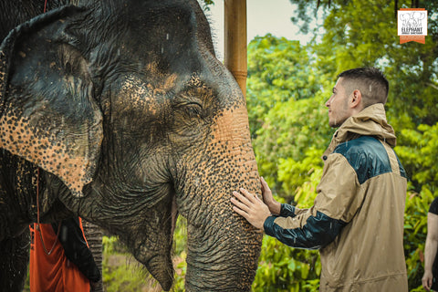 Elephant Jungle Sanctuary - Half Day Experience