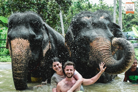 Elephant Jungle Sanctuary - Half Day Experience