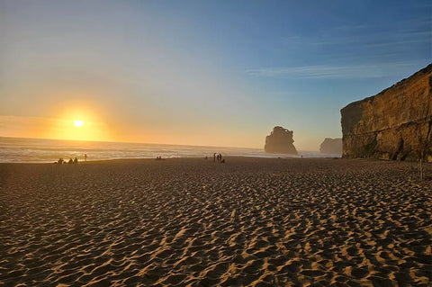 Great Ocean Road Wildlife & Sunset Tour
