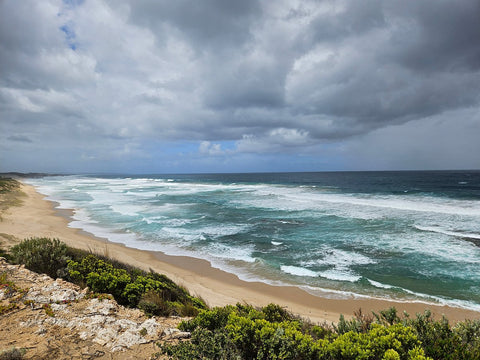 Mornington Peninsula Sightseeing & Bay Cruise
