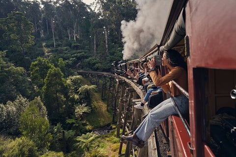 Puffing Billy & Wildlife Tour