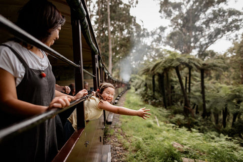 Puffing Billy & Penguins Wildlife Tour