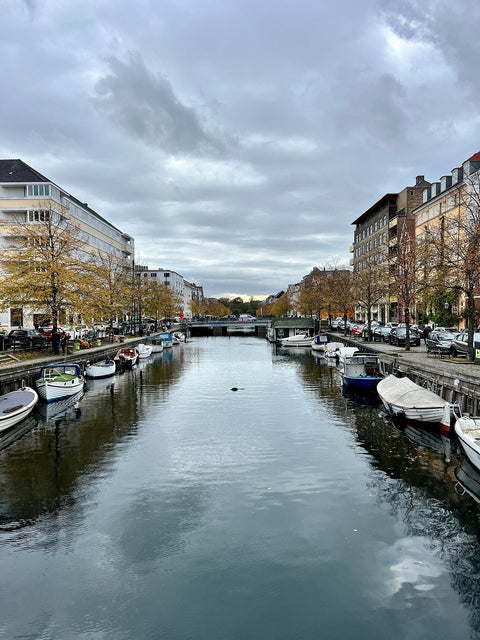 Copenhagen 2 Hour Guided E-Bike Tour