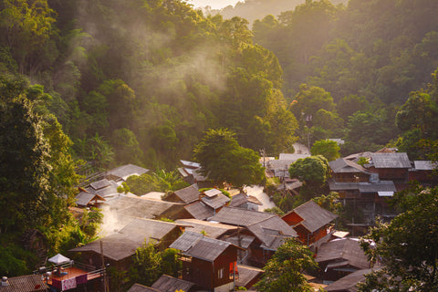 Hidden Jungle Trek In Mae Kampong - 7 hours