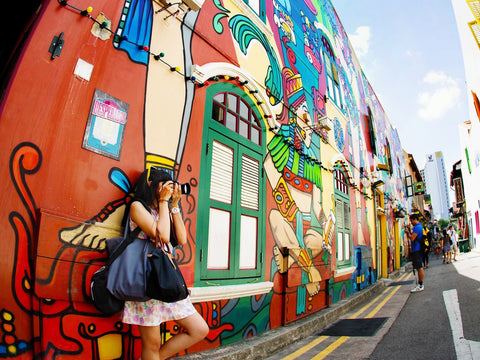 City Highlights: Chinatown, Little India & Kampong Gelam